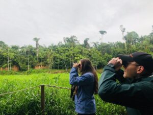 7D Birdwatching / Giant Otter by Explorers
