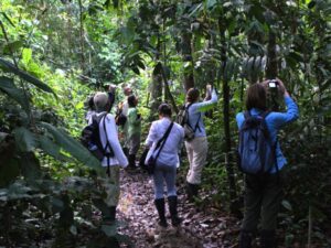 3D Sandoval / Canopy Walk (Superior Suits)