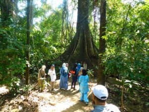 5D Macaw Clay / Sandoval Lake /Adventure