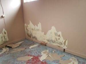 mold growing under paint