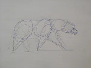Rough Sketch bear walking - pen on paper