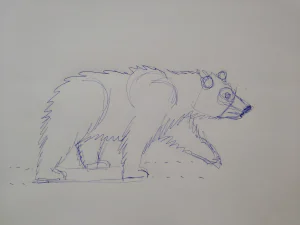 Rough Sketch bear walking - pen on paper