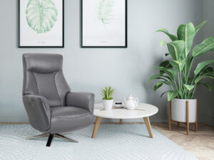 GFA Houston Swivel Recliner & Integrated Footstool in Iron Leather