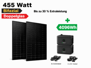 1820 WP & 4 KW Speicher, 4 bifaziale Hochleistungsmodule