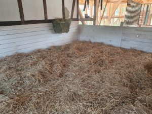 Stroh im Tierstall auf Wellnesshof RaJa, ideal für artgerechte Tierhaltung und nachhaltige Landwirtschaft. Komfortable Umgebung für Tiere, um natürliches Verhalten zu fördern.