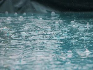 Read more about the article Spring Showers