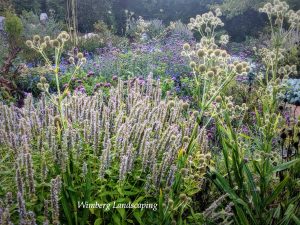 Read more about the article Reserve Your Seat for the Wimberg Winter Garden Lecture Series!