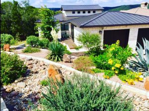 Austin Landscaping, Round Rock landscaping, Cedar Park landscaping , Georgetown landscaping, Lago Vista landscaping, Jonestown Landscaping, Leander landscaping, Liberty Hill landscaping, Salado Landscaping