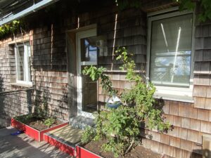 Außenansicht der Ferienwohnung Buchenzauber.