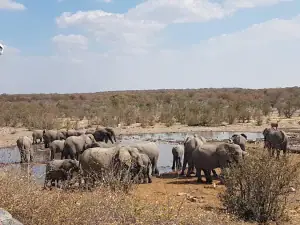 Uganda luxury safari queen elizabeth national pak