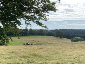 Blick über Wiesen in Monschau-Höfen
