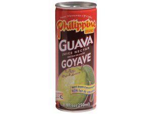 Guava Juice Nectar (250ml) - Philippine Brand
