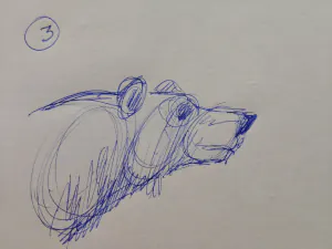 Sketch of a bear head framed on paper, step in a bear drawing tutorial using pen on paper