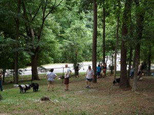 eureka springs bark park