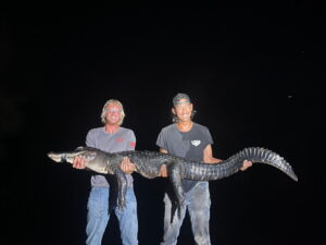 alligator hunting