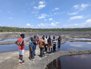 Experience Africa