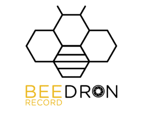 Logo BeeDron Record