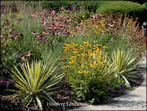 Read more about the article FIVE RULES FOR MULCH