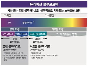 마곡 안경