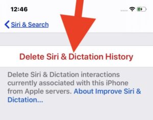 Delete Siri & Dictation History