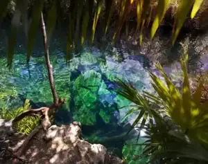 CENOTE SOL Y LUNA