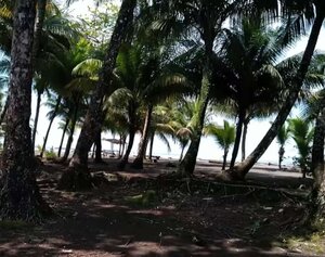 playas pianguita