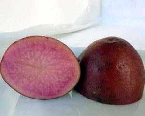 Самые урожайные сорта картофеля для Сибири 