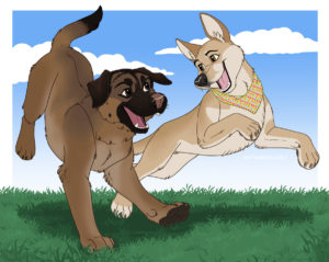 Two dogs playing in the grass.