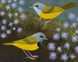 Plants That Attract Birds