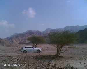 roadtrip