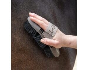 Flexi Soft Body Brush Walnut