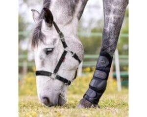 Break Away Headcollar: Veiligheidshalster