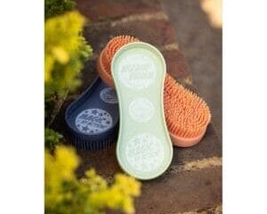 Wizard Brush Trio Sherbet/Pistachio/Jay