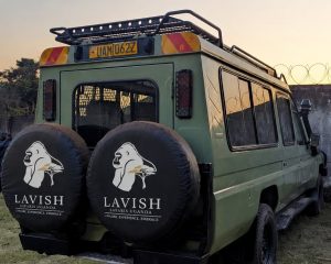 How Much Does Gorilla Trekking in Uganda Cost