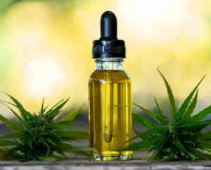 CBD olja Sverige