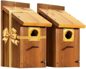 Should Bird Boxes Have a Perch