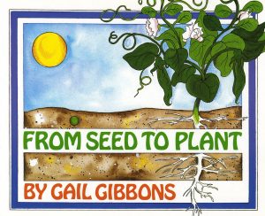 From Seed To Plant