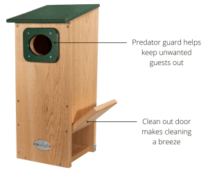 Do Bird Houses Need Predator Guards