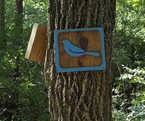 Bird Nest Monitoring Projects