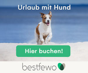 Urlaub mit Hund