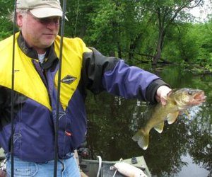 Greg showing his first catch of the 2011 season, St. Croix walleye aka Walter or Wanda