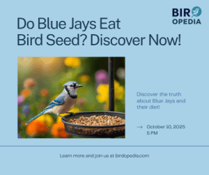 Do Blue Jays Eat Bird Seed