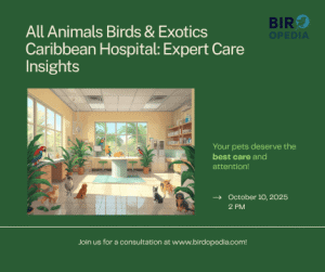 All Animals Birds & Exotics Caribbean Hospital