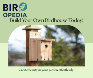 Large Bird House Kits