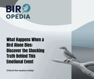 What Happens When Bird Alone Dies