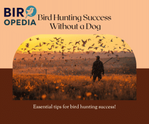 Can You Bird Hunt Without a Dog