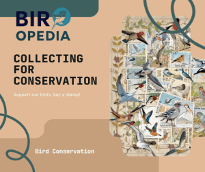 Federal Migratory Bird Stamp