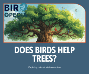 Does Bird Help the Tree