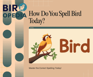 Can You Bird Hunt Without a Dog