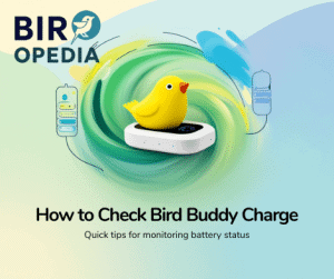 How Do You Know When Bird Buddy is Fully Charged